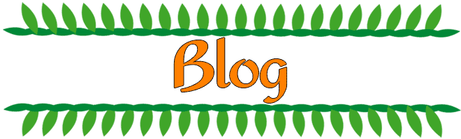 Blog Mandir Interiors png